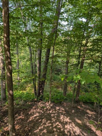 21575 Joplin Street NW Elk River MN 55330