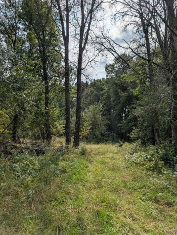 21575 Joplin Street NW Elk River MN 55330