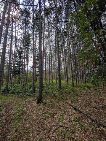 21575 Joplin Street NW Elk River MN 55330