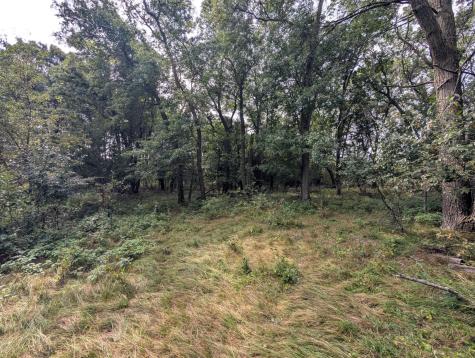 21575 Joplin Street NW Elk River MN 55330
