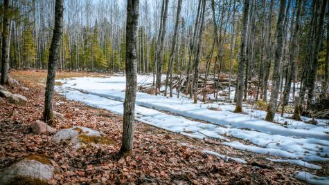 Parcel 12 Tbd Highway 115 Tower MN 55790