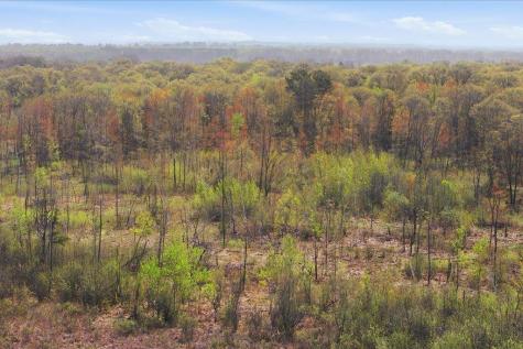 Tbd, Lot 3 County Road 3 Nisswa MN 56468