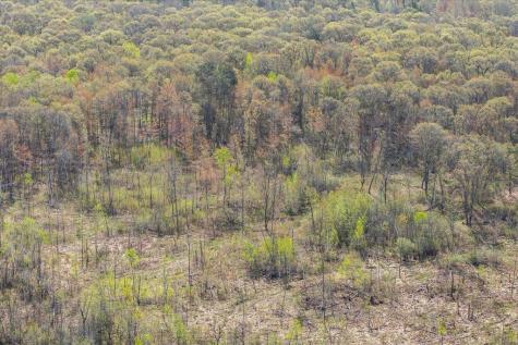 Tbd, Lot 3 County Road 3 Nisswa MN 56468