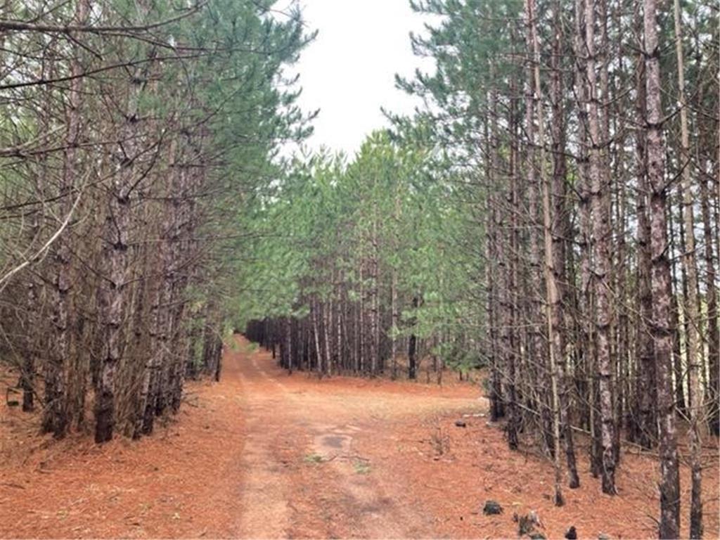 Xxx Hay Creek Boulevard Grantsburg WI 54840