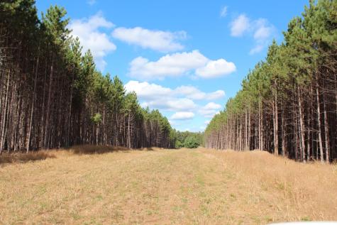 Xxx Hay Creek Boulevard Grantsburg WI 54840