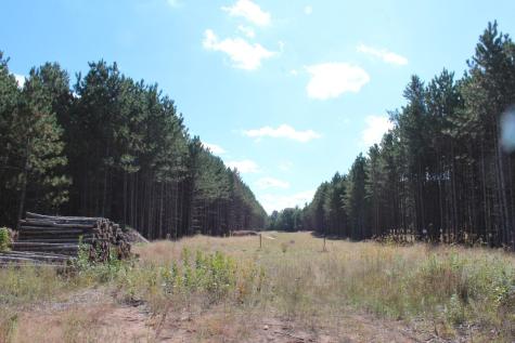Xxx Hay Creek Boulevard Grantsburg WI 54840