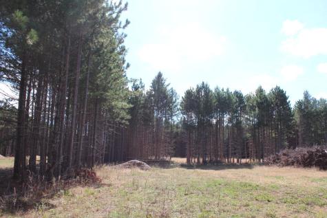Xxx Hay Creek Boulevard Grantsburg WI 54840
