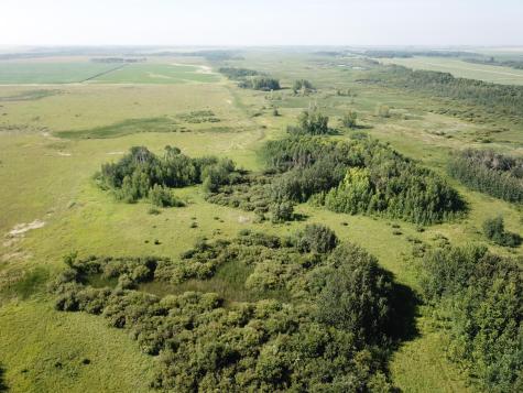 Tbd 150th Street NW Thief River Falls MN 56701