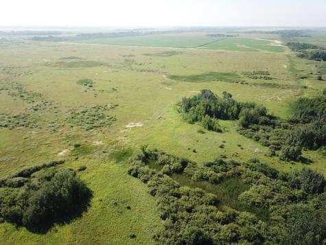 Tbd 150th Street NW Thief River Falls MN 56701