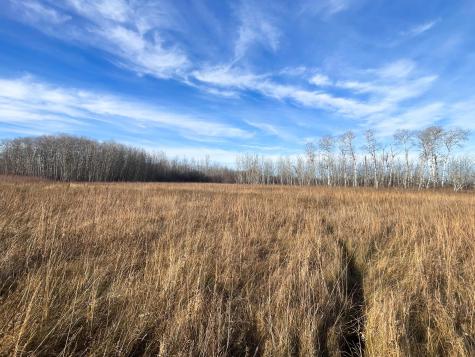 Tbd 150th Street NW Thief River Falls MN 56701