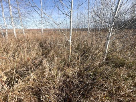 Tbd 150th Street NW Thief River Falls MN 56701