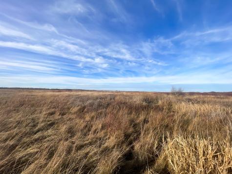 Tbd 150th Street NW Thief River Falls MN 56701
