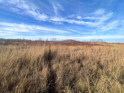 Tbd 150th Street NW Thief River Falls MN 56701