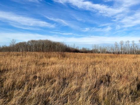 Tbd 150th Street NW Thief River Falls MN 56701