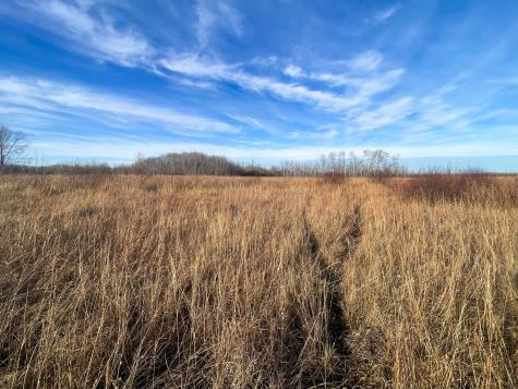 Tbd 150th Street NW Thief River Falls MN 56701