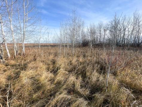 Tbd 150th Street NW Thief River Falls MN 56701