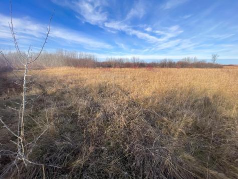 Tbd 150th Street NW Thief River Falls MN 56701