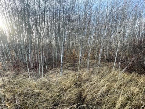 Tbd 150th Street NW Thief River Falls MN 56701