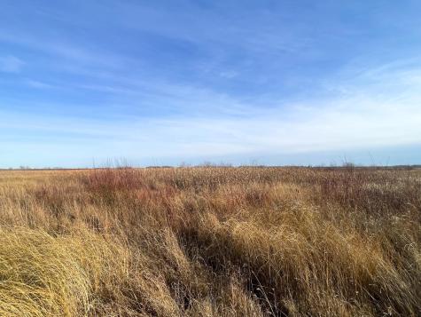 Tbd 150th Street NW Thief River Falls MN 56701