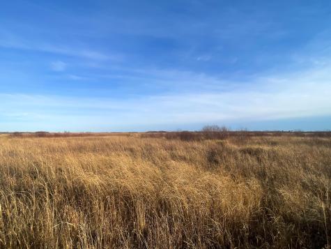 Tbd 150th Street NW Thief River Falls MN 56701