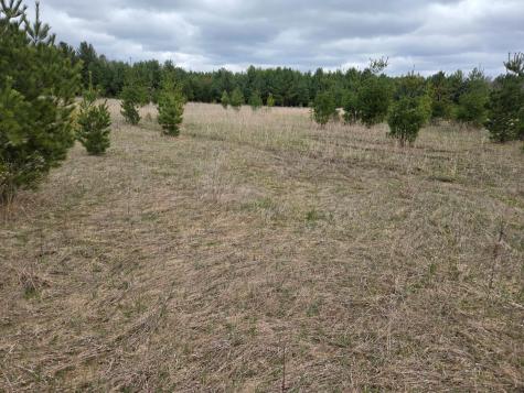 Tbd 450th St - Parcel B Laporte MN 56461