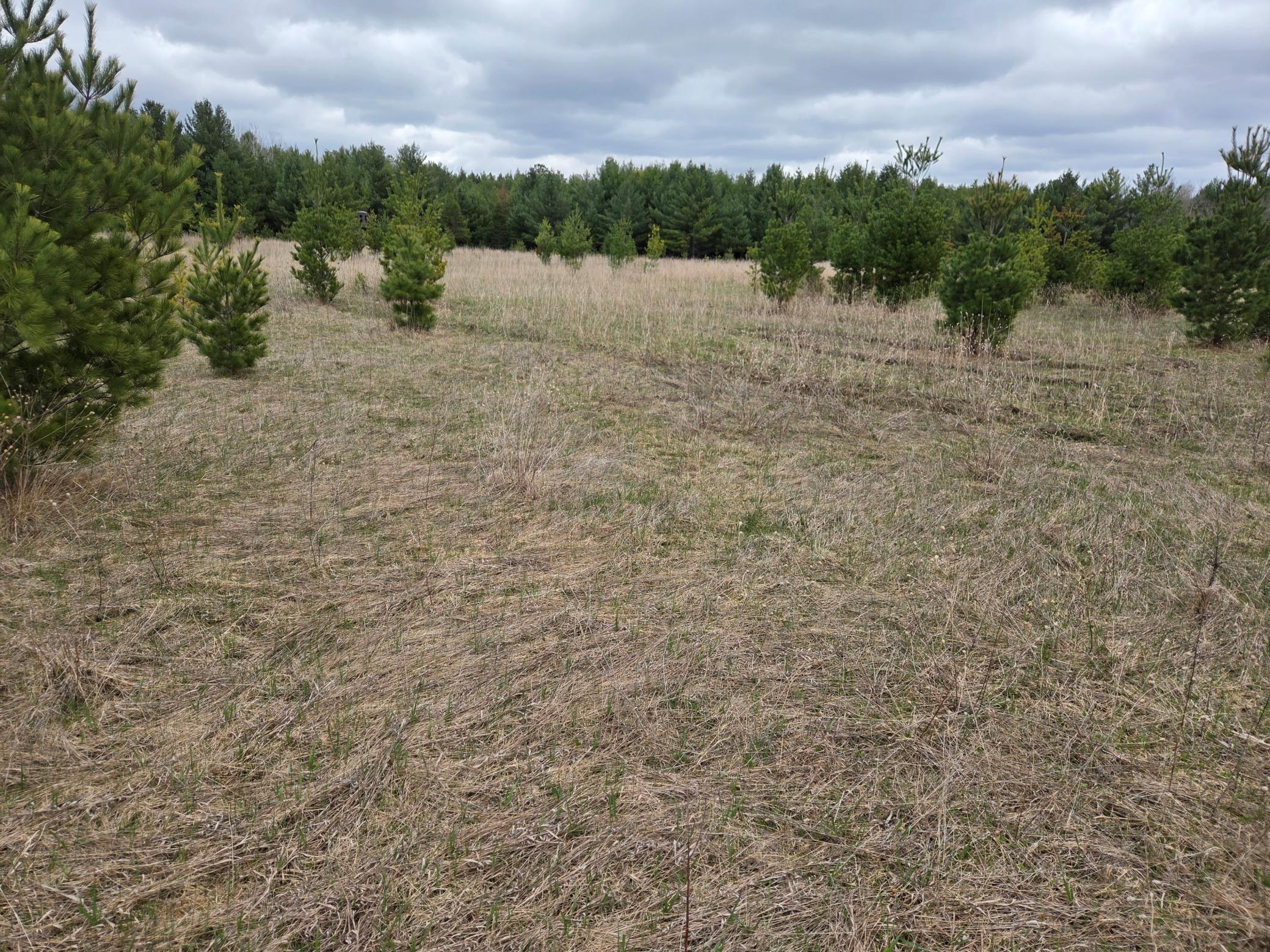 Tbd 450th St - Parcel B Laporte MN 56461