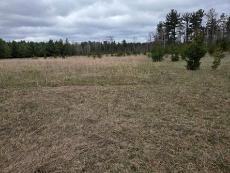 Tbd 450th St - Parcel B Laporte MN 56461