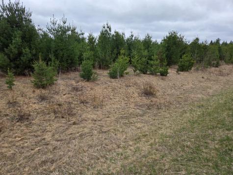 Tbd 450th St - Parcel B Laporte MN 56461