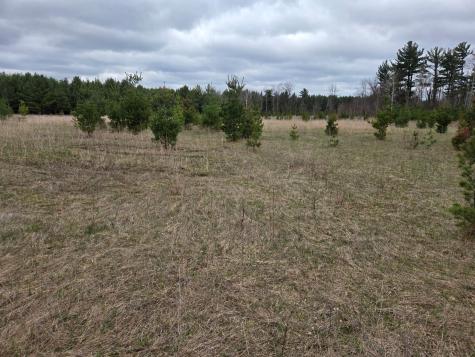 Tbd 450th St - Parcel B Laporte MN 56461