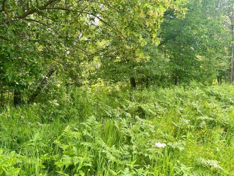 Lot 2 Blk 1 Eagle Drive NW Walker MN 56484