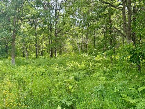 Lot 2 Blk 1 Eagle Drive NW Walker MN 56484