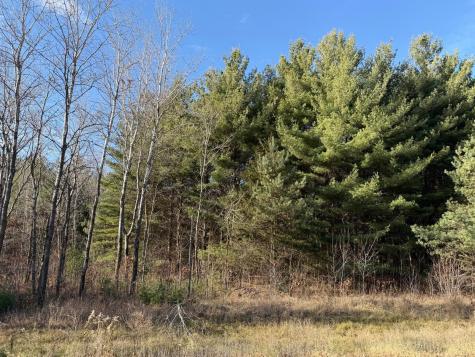 L10,BLK1 177th Street NW Orrock Twp MN 55309