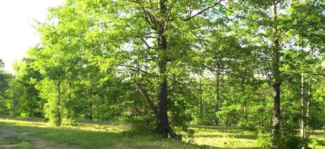 83XXX - Lot 6 Ashwabay Heights Road Bayfield WI 54814