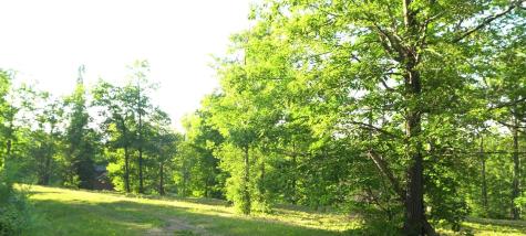 83XXX - Lot 6 Ashwabay Heights Road Bayfield WI 54814