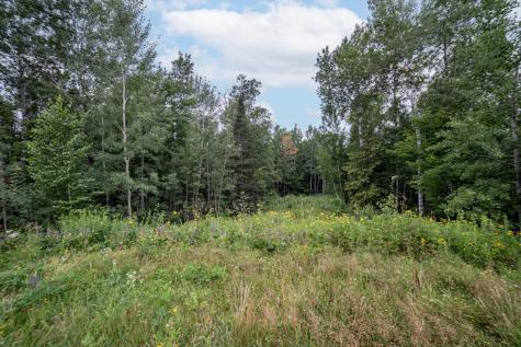 45XX - Lot B1 Norway Pines Place Hermantown MN 55811