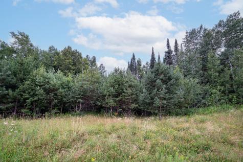 45XX - Lot B1 Norway Pines Place Hermantown MN 55811