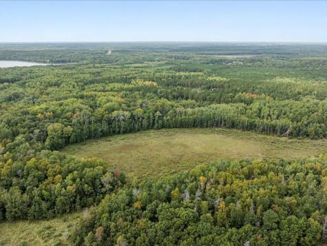 Parcel F Horseshoe Lake Road Merrifield MN 56465