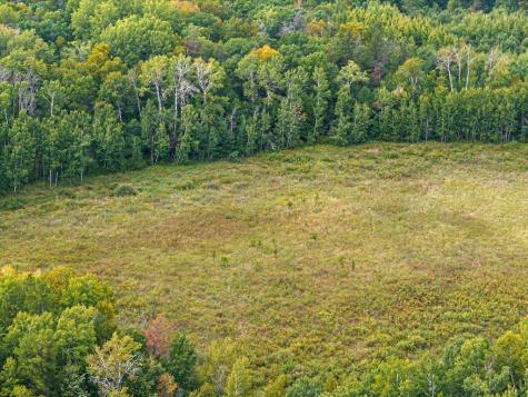 Parcel F Horseshoe Lake Road Merrifield MN 56465