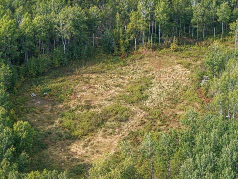 Parcel F Horseshoe Lake Road Merrifield MN 56465