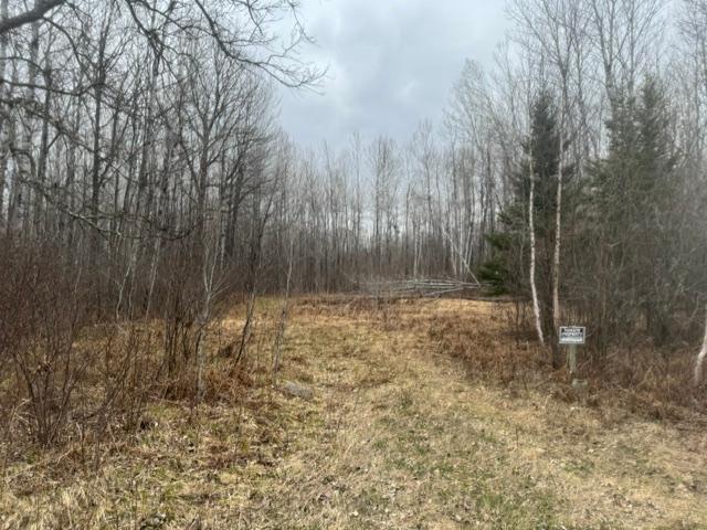 Xxx Frazer Road Deer River MN 56631