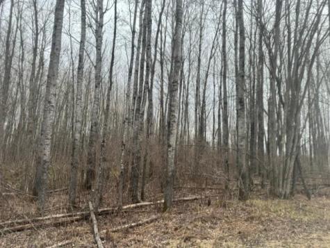 Xxx Frazer Road Deer River MN 56631