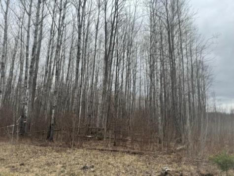 Xxx Frazer Road Deer River MN 56631