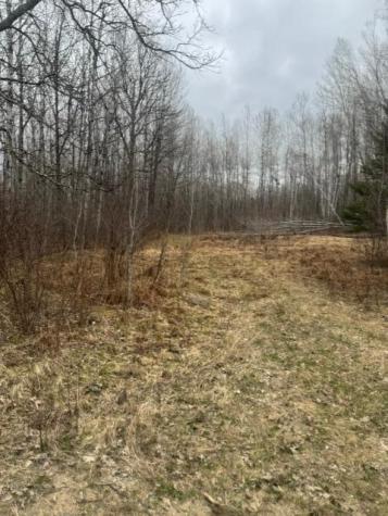 Xxx Frazer Road Deer River MN 56631