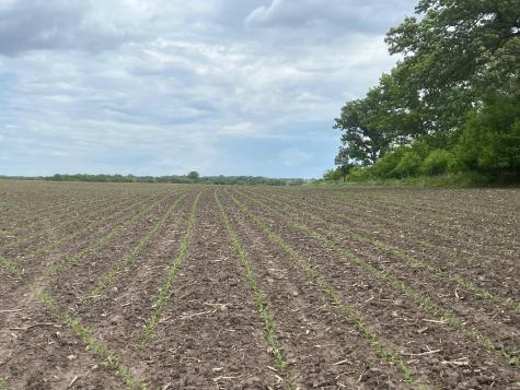 Tbd Highway 56 Le Roy MN 55951