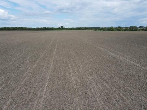 Tbd Highway 56 Le Roy MN 55951