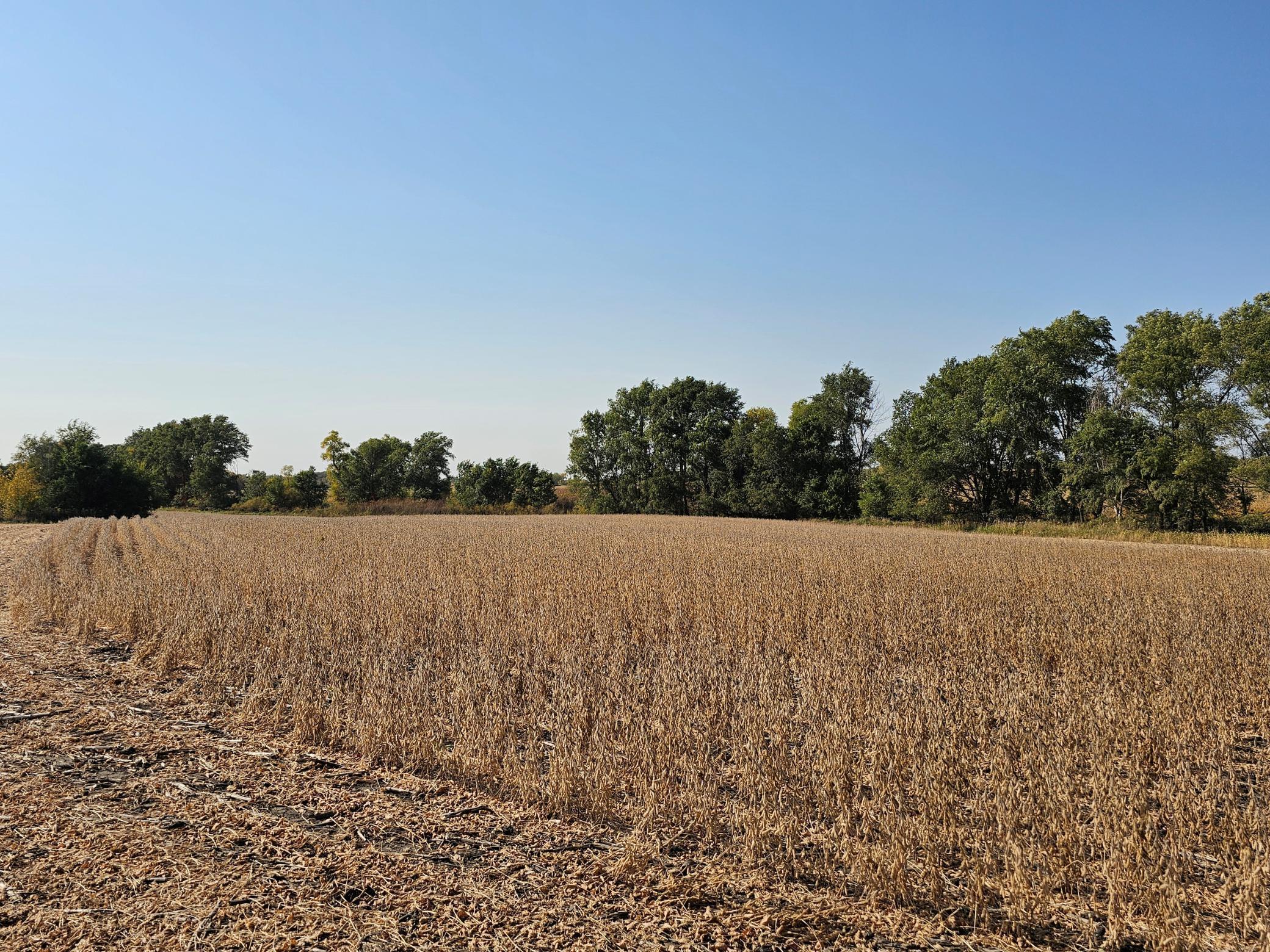 - Mamre Twp Pennock MN 56279