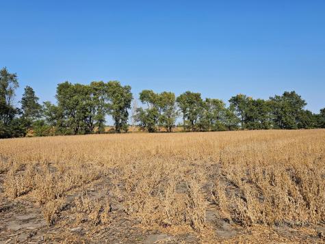 - Mamre Twp Pennock MN 56279