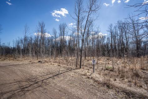 60XX Rycor Lane Lot 8 Duluth MN 55811