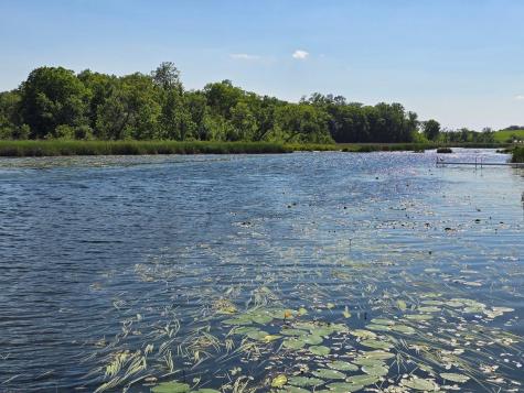 Tract F Blybergs Lane Pelican Rapids MN 56572