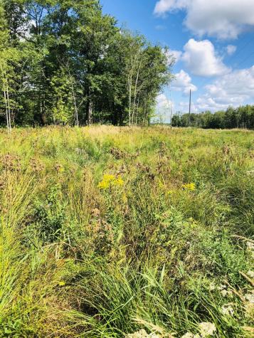 44131 Nature Avenue Palisade MN 56469